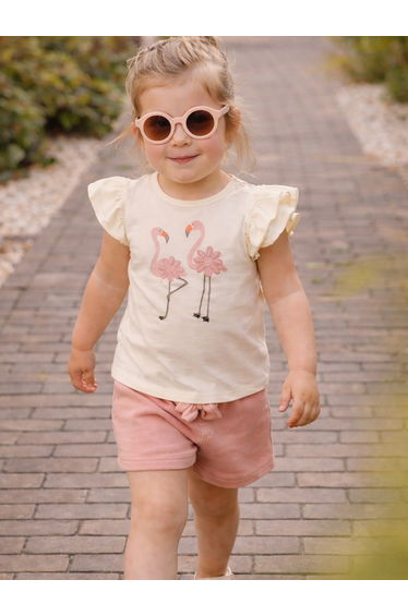 Girls Flamingo Ruffle Sleeve T-Shirt and Shorts Set