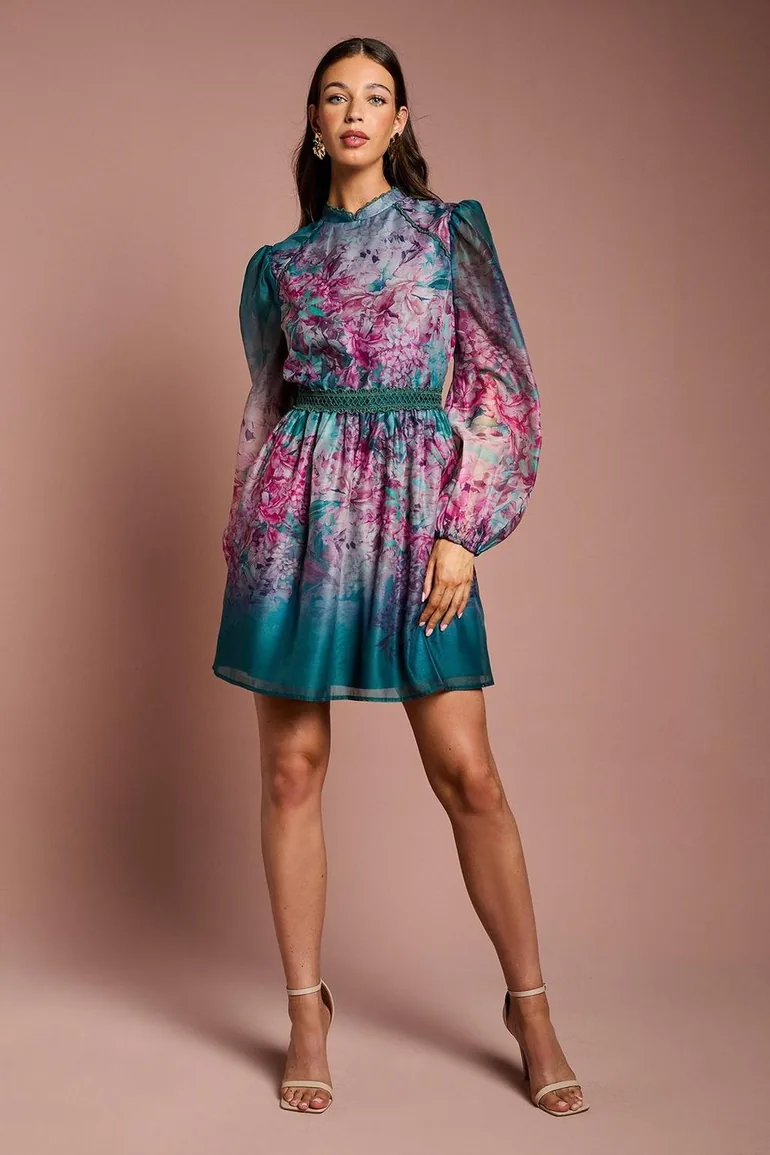 Long Sleeve Organza Mini Dress With Floral Print