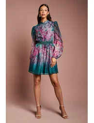 Long Sleeve Organza Mini Dress With Floral Print