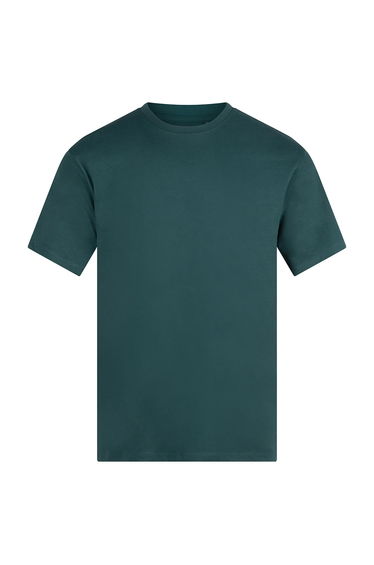 Anthem Unisex Adult Organic Midweight T-Shirt - Pine Green