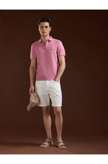 Men Pure Cotton Textured Regular Fit Polo