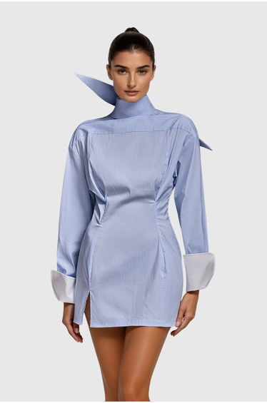 Darja Long Sleeve Stripe Mini Dress