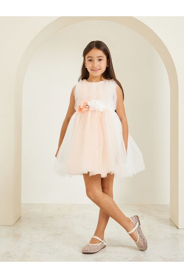 Girls Peach Flowers Detail Mesh Dress