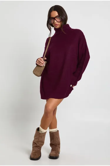 Petite Super Soft Brushed Knit Roll Neck Mini Dress - aubergine