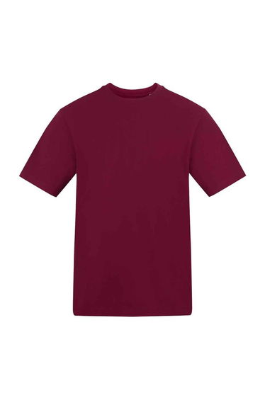 Awdis Unisex Adult Cotton T-Shirt - Burgundy