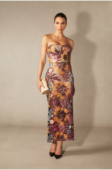 Aurora Floral-embroidered Strapless Maxi Dress