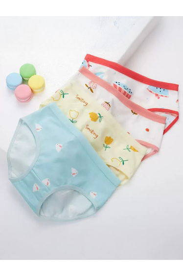 Pack of 4 - Printed Cotton Briefs