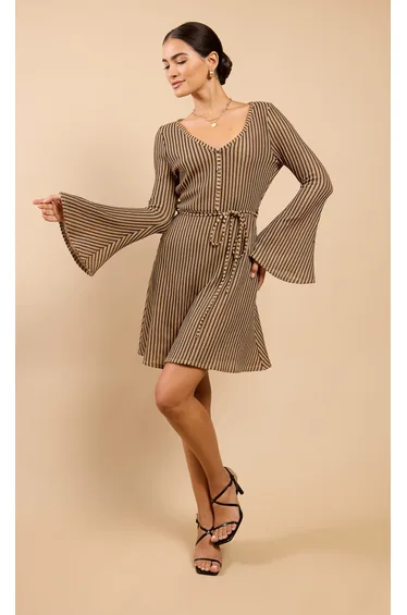 Grazia Brown Stripe Knit Mini Dress