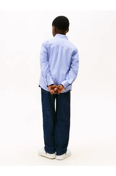 Flag Oxford Shirt Ls Breezy Blue Strip