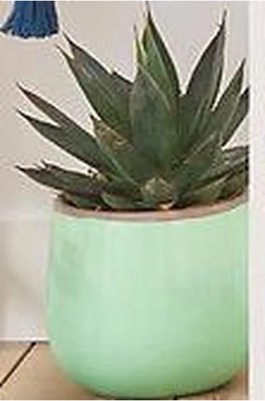 غطاء فليس و قطن موسلين