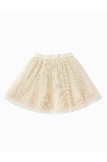 Girls' Tulle Skirt With Embroidery