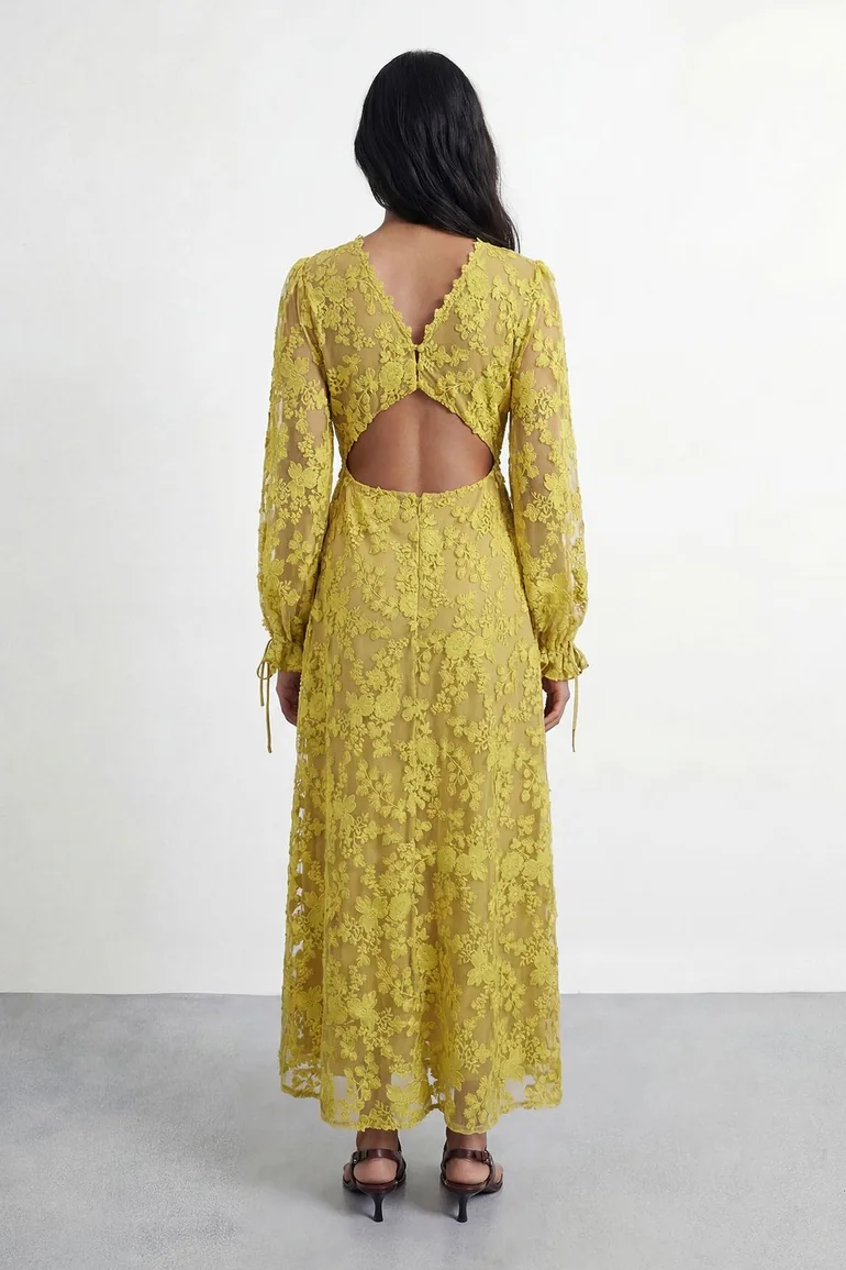 Embroidered Organza Open Back Detail Maxi Dress - 1