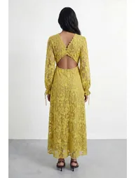 Embroidered Organza Open Back Detail Maxi Dress - 1