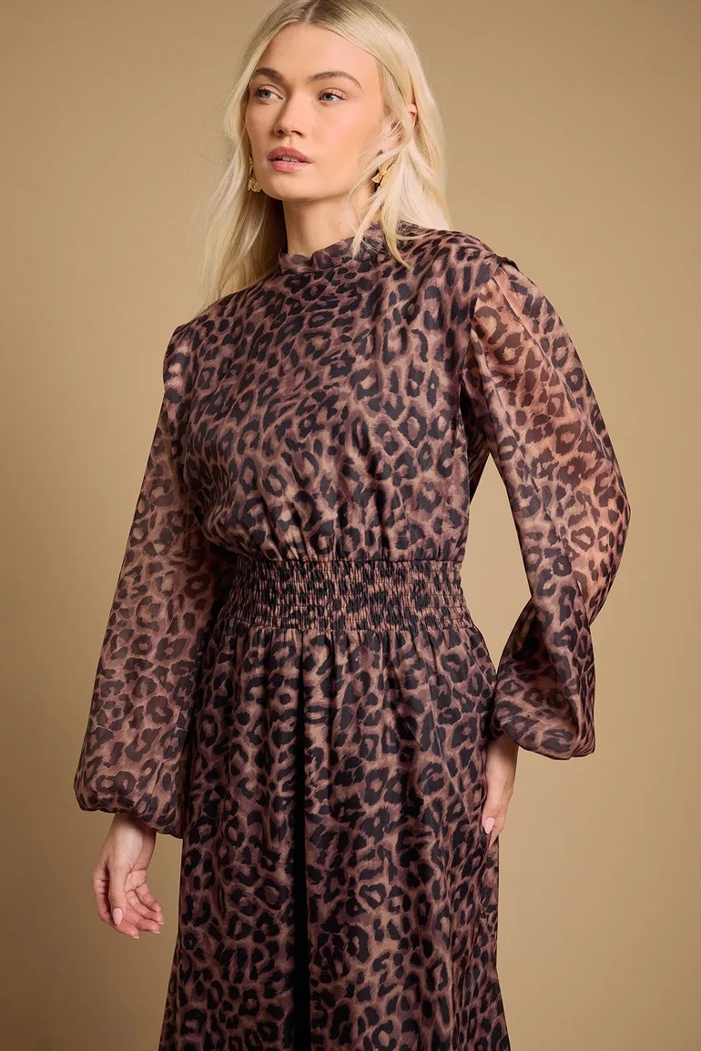 Floral Organza Shirred Waist Midi Dress - 2