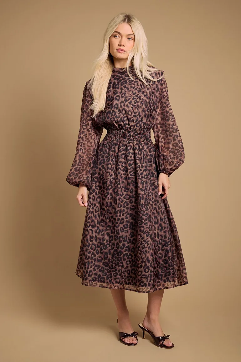 Floral Organza Shirred Waist Midi Dress