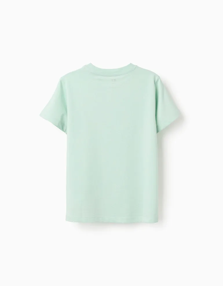 Cotton T-shirt with Peixinho do Mar print for boys, light green - 1