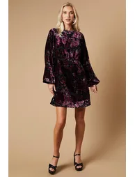 Devore Long Sleeve Mini Dress