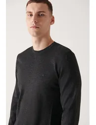 Men's Anthracite Crew Neck Wool Standard Fit Regular Cut Sweater - 2