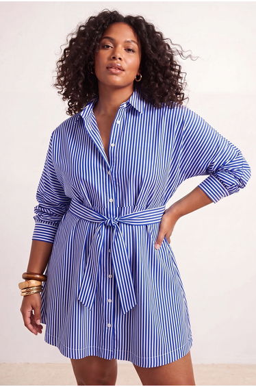 Blue-Multicolor Woven Plus Size Dress