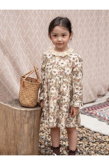 Girls Floral Print Long Sleeve Dress