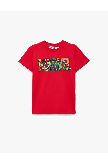 Boys Tshirt Ss