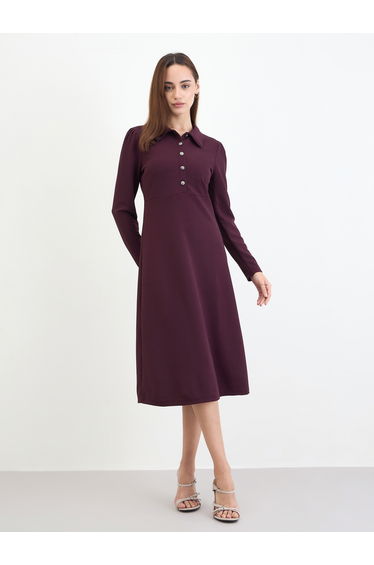 Women Burgundy Polo Neck A-Line Midi Dress