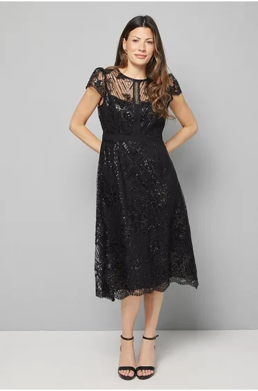 Embroidered Mesh Fit And Flare Midi Dress