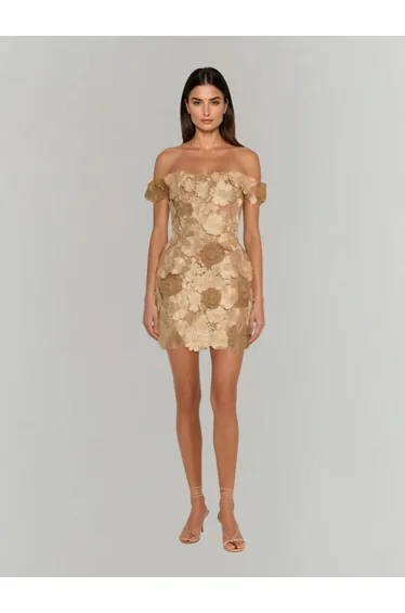 Dewlin Off Shoulder Floral Embroidered Mini Dress