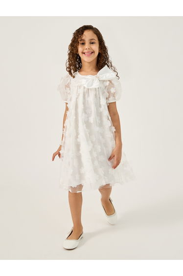 Flower Applique Mesh Insert Dress