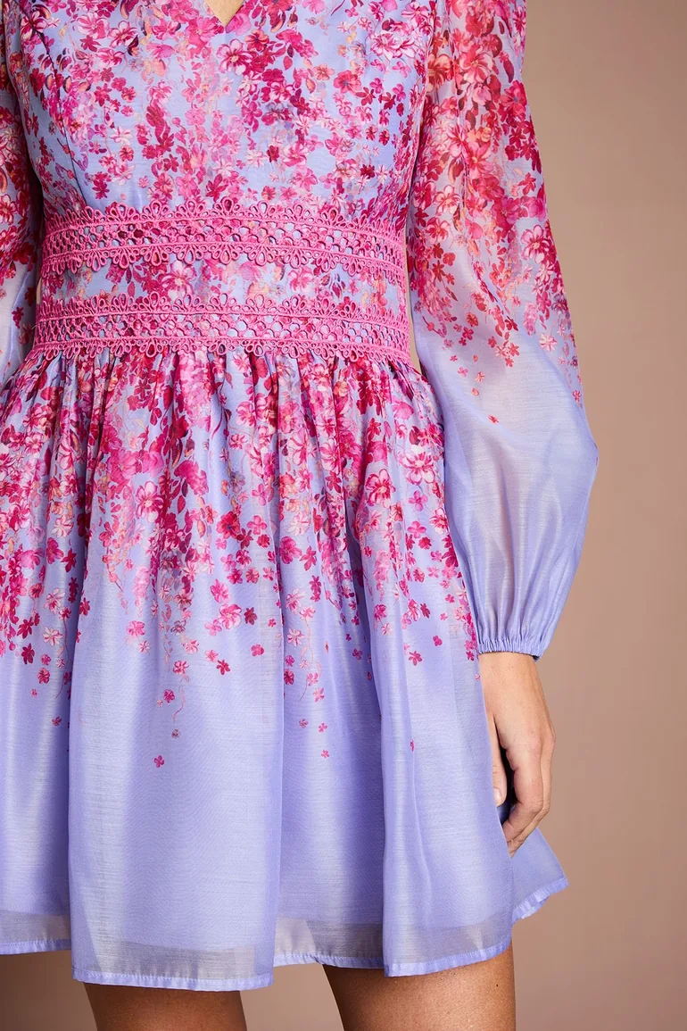 Petite Organza Floral Placement Lace Trim Mini Dress - 3