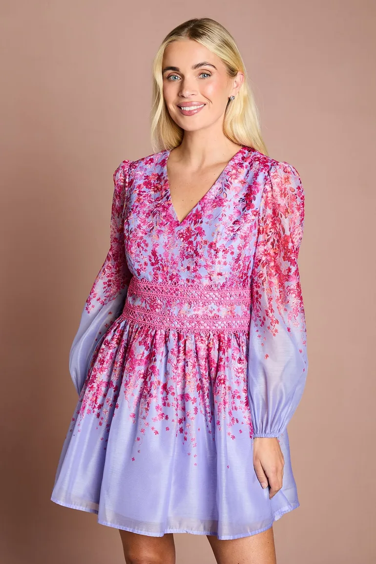 Petite Organza Floral Placement Lace Trim Mini Dress - 1