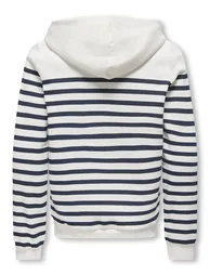 Striped Hoodie - 1