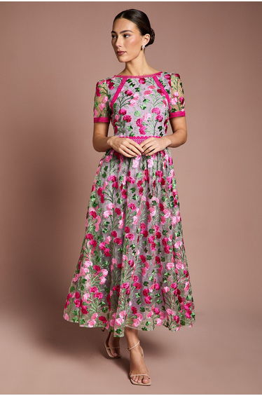 Lace Trim Detail Embroidered Mesh Midi Dress