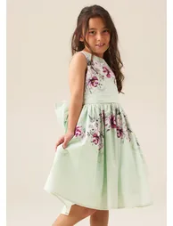 Elisa Mint Print Bow Back Dress