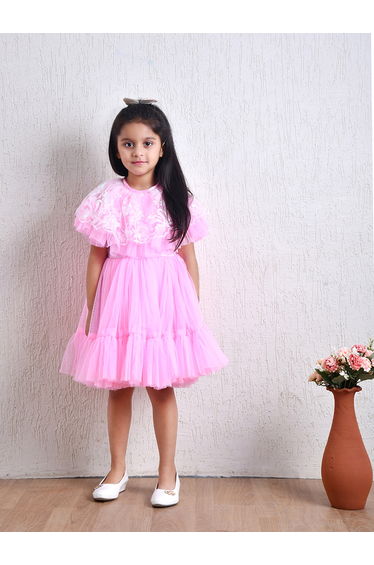Embroidered Flutter Sleeves Mesh Knee-Length Dress