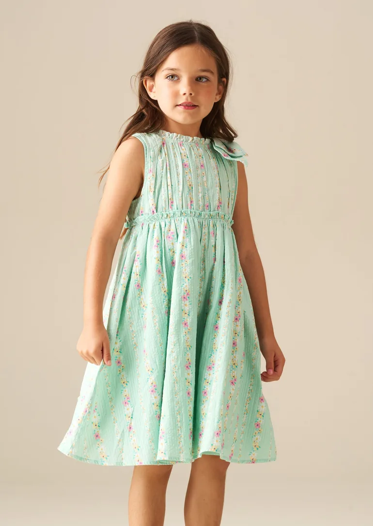 Gianna Floral Stripe Dress