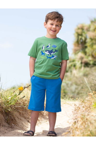 Corfe Shorts Peacock
