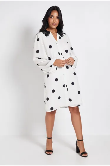 Petite Polka Dot Lace Collar Shift Dress