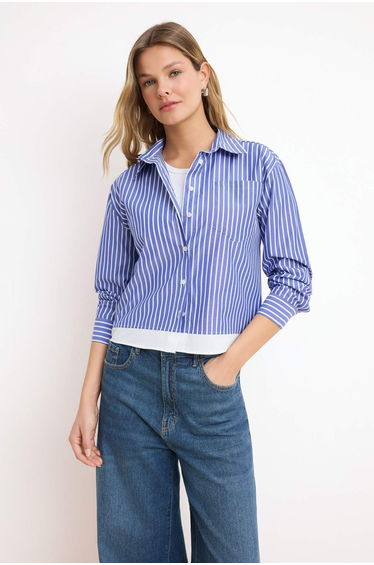 Blue-Multicolor Striped Contrast Shirt