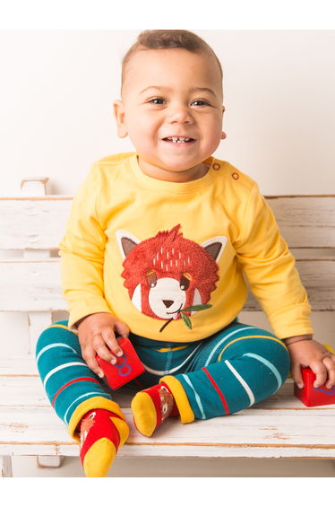 Chip the Red Panda Socks