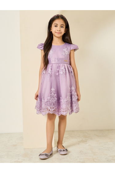 Toddler Girl embroidered mesh dress