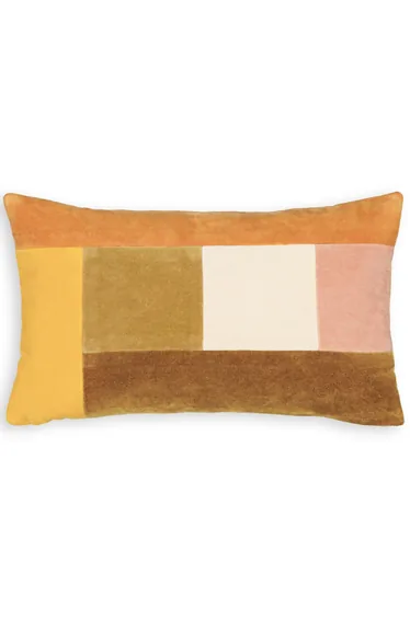 Tadeo Rectangular 100% Cotton Velvet Cushion Cover