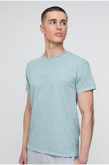 Washed Sage Regular Creative Archive Print T-Shirt - sage