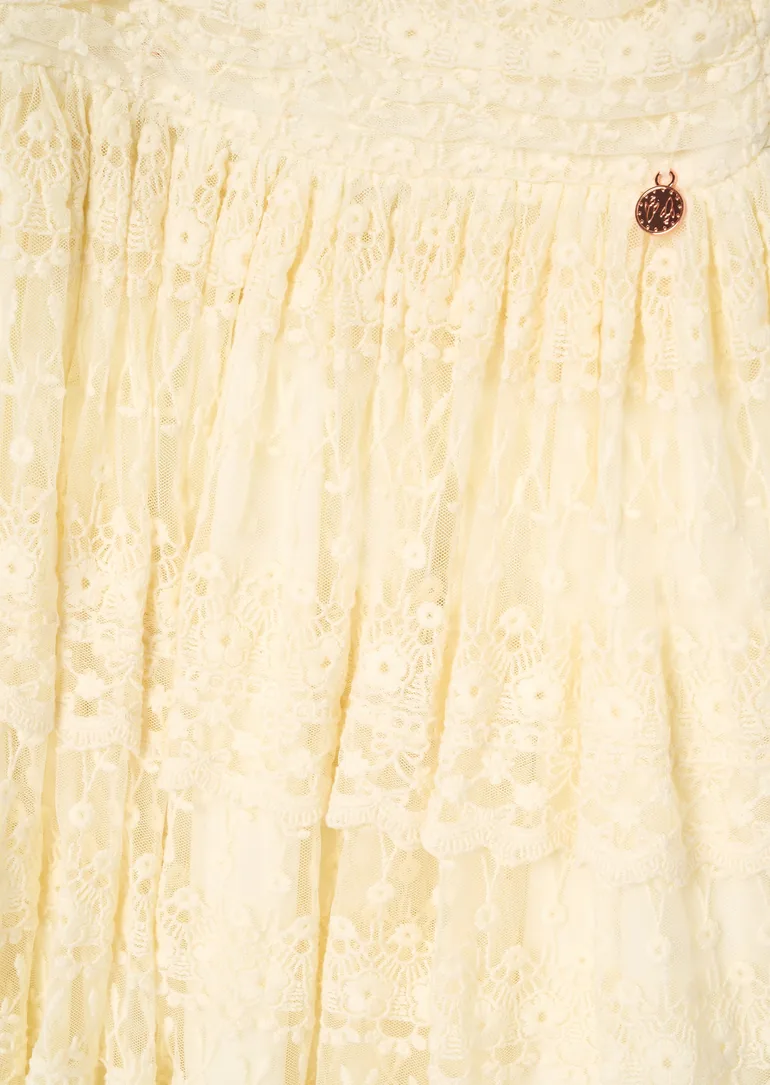 Annabelle Vintage Lace Mesh Dress - 7