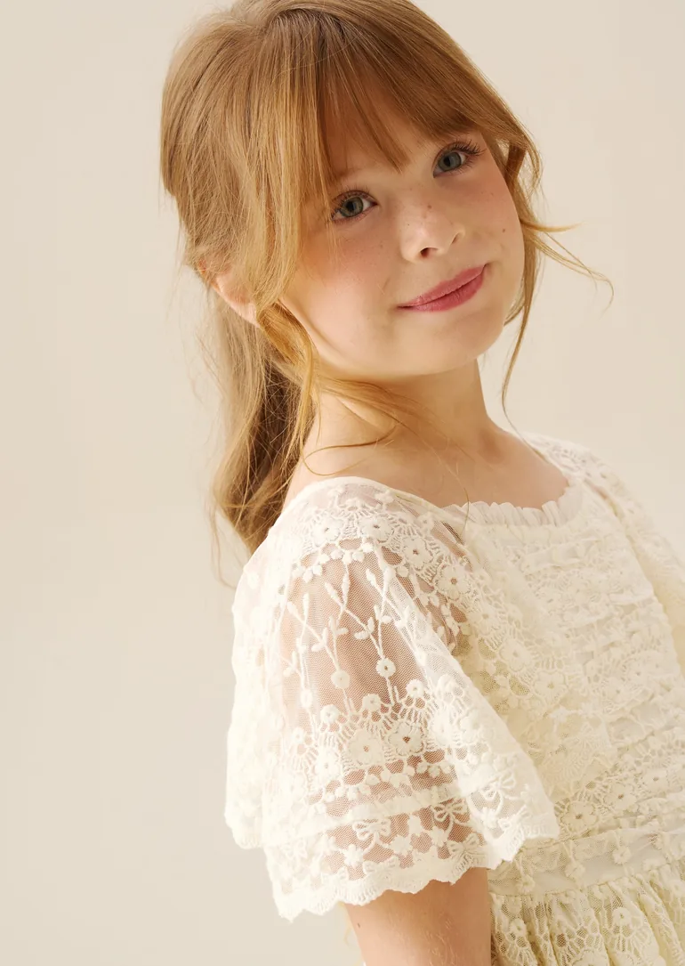 Annabelle Vintage Lace Mesh Dress - 2