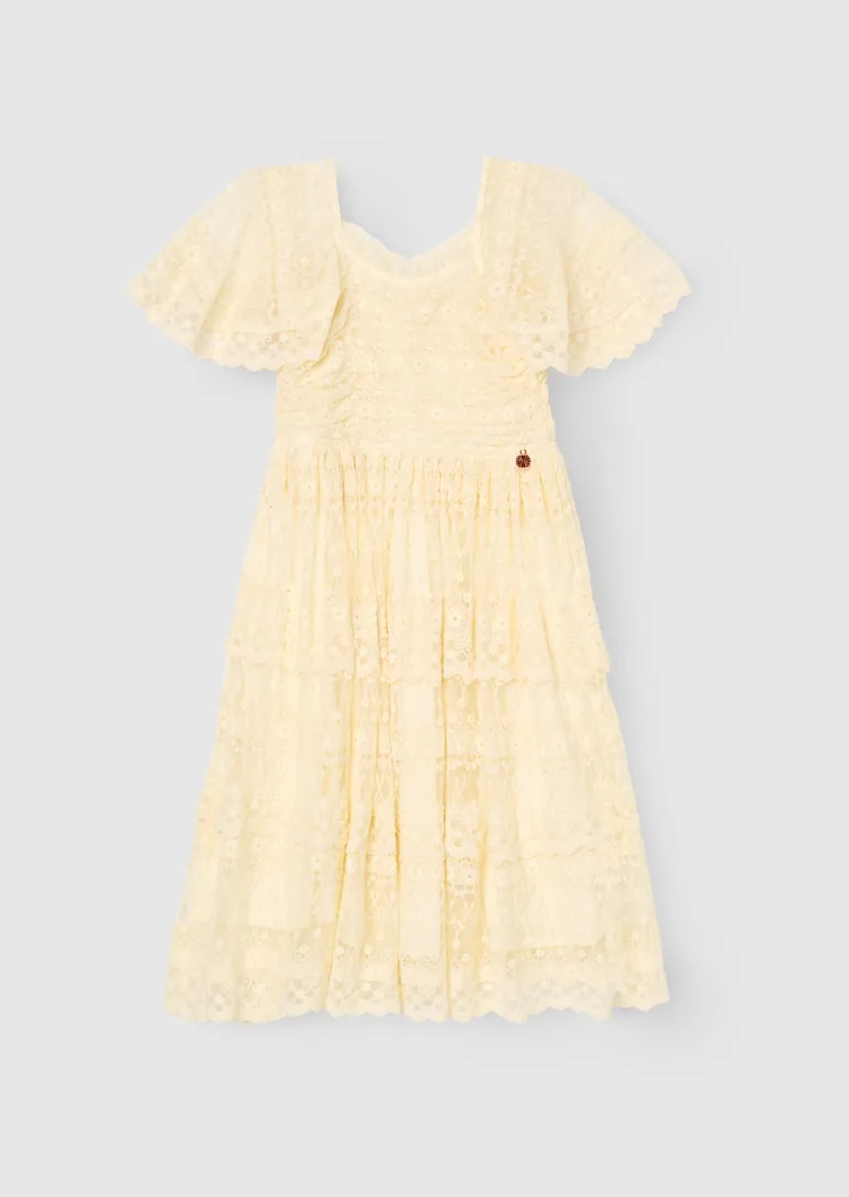 Annabelle Vintage Lace Mesh Dress - 5