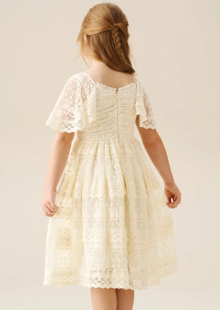 Annabelle Vintage Lace Mesh Dress - 3