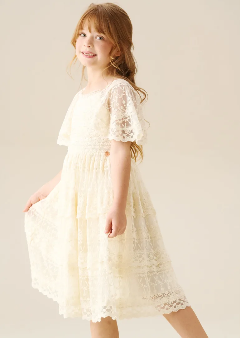 Annabelle Vintage Lace Mesh Dress - 4
