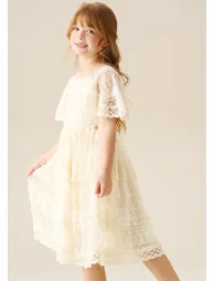 Annabelle Vintage Lace Mesh Dress - 4