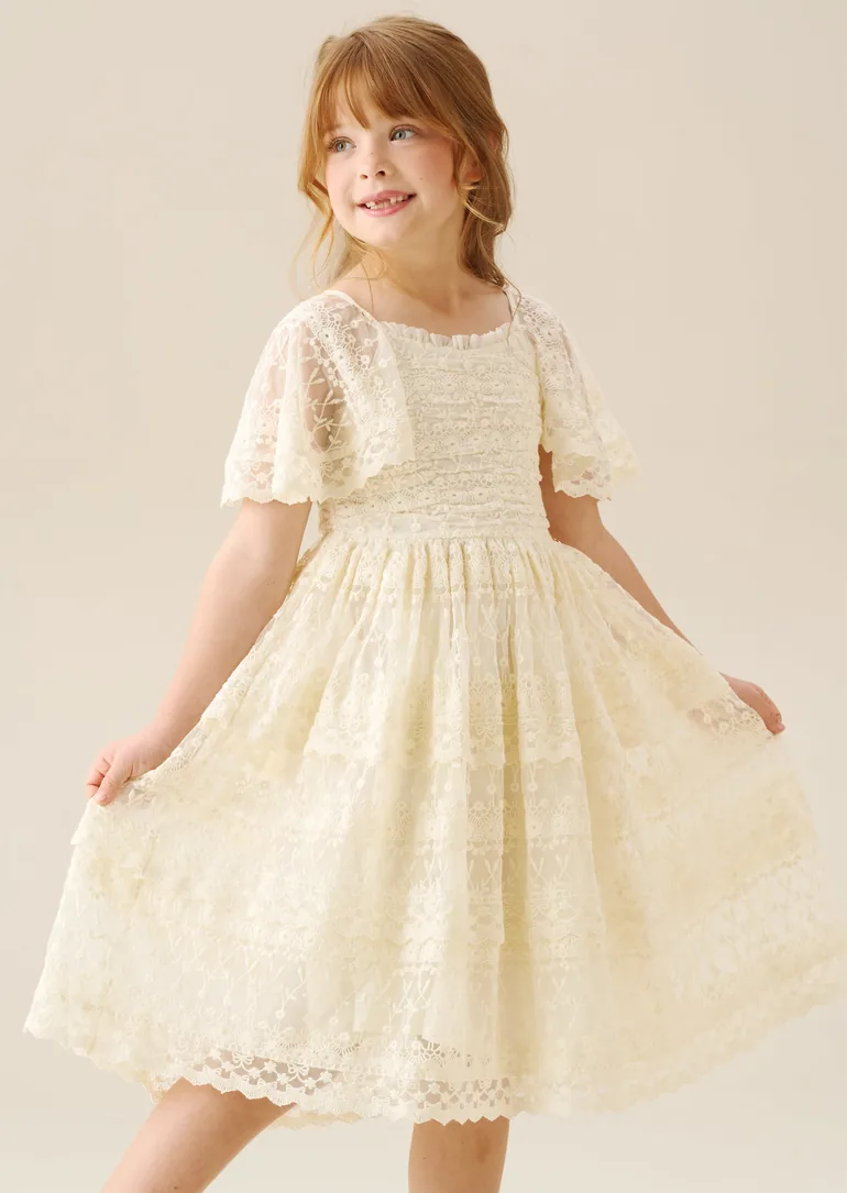 Annabelle Vintage Lace Mesh Dress